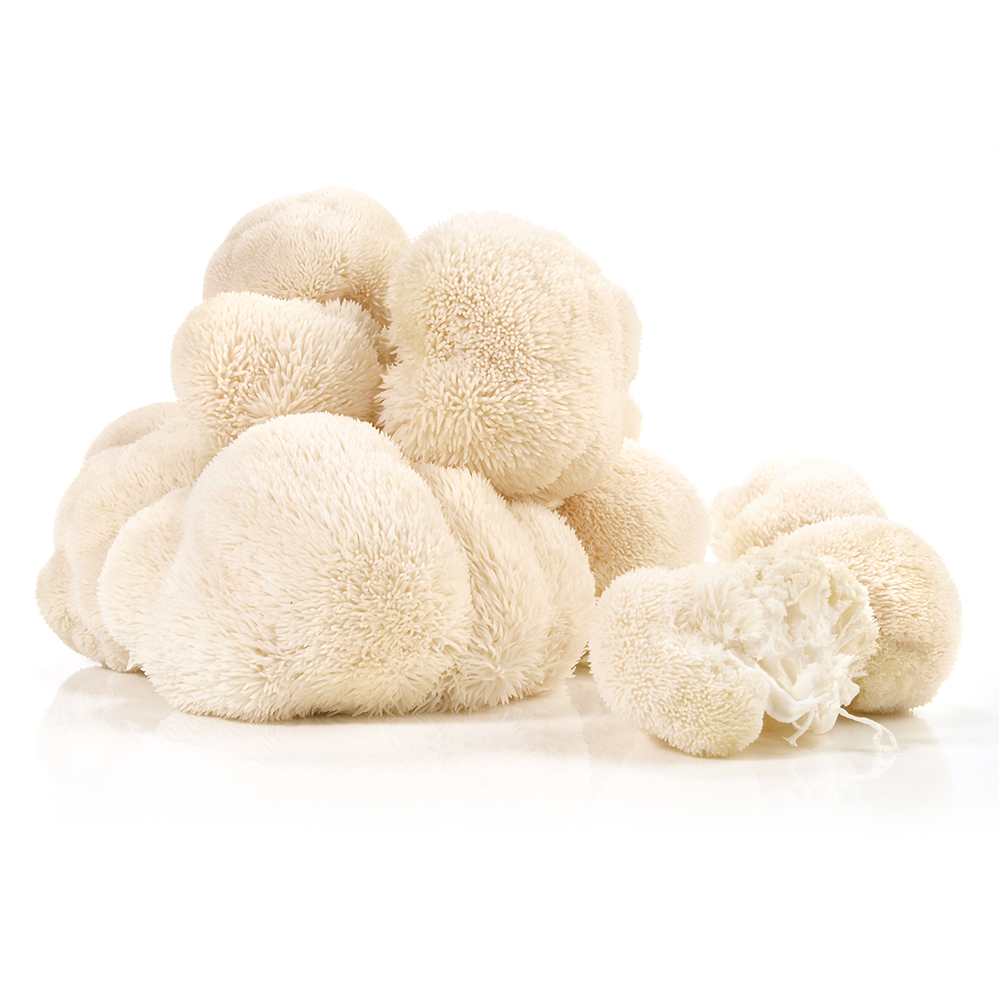 Hericium